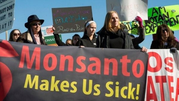 Activists protesting outside Monsanto headquarters in Creve Coeu, Missouri. 