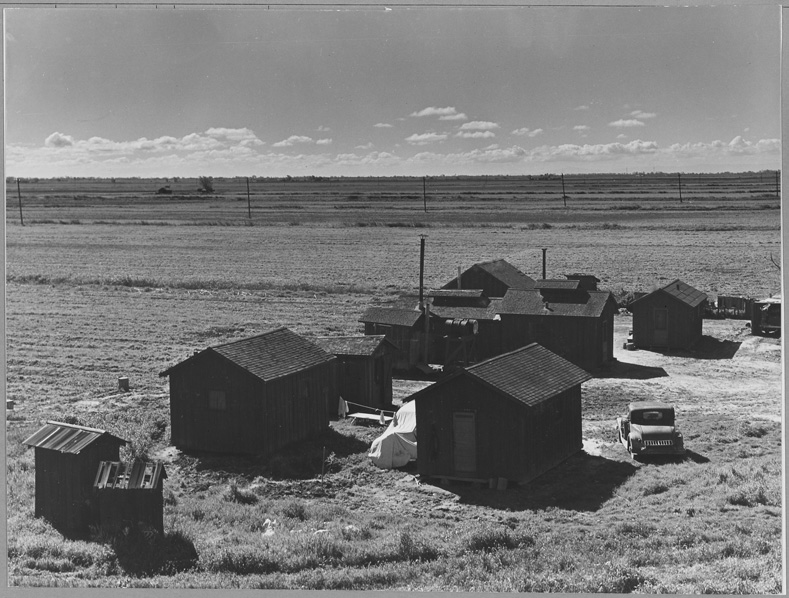 Worker crews were often confined to company camps such as this one on an asparagus field in Ryer Island, Solano County, California, 1940.