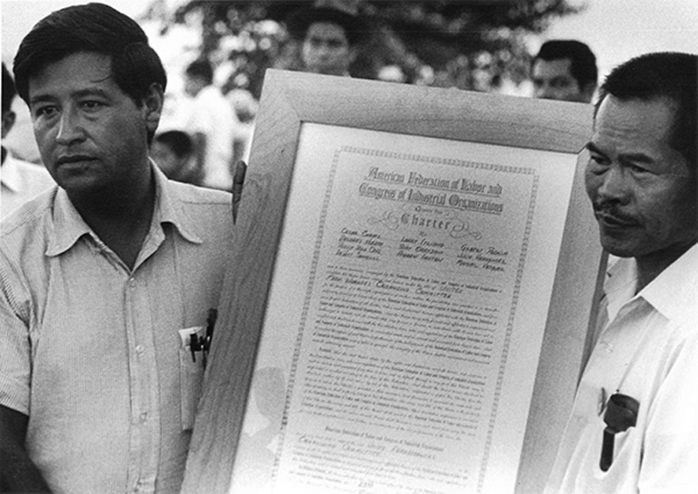 In August 1966, Bill Kircher, National Director of Organizing for the AFL-CIO, negotiated a merger between AWOC and the NFWA that was named the United Farm Workers Organizing Committee AFL-CIO (UFWOC). Cesar Chavez was named head, with Larry Itliong serving as assistant director. Chavez and Itliong display the AFL-CIO charter which authorized their new union.