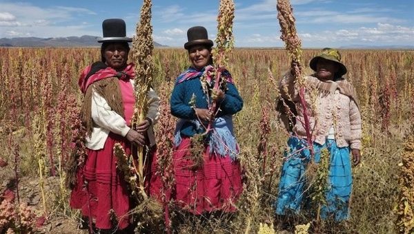 Indigenous Bolivian women have benefited from Bolivia's land reforms. 