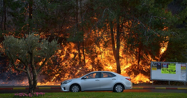 A car drives past burning trees as a wildfire rages in the northern city of Haifa, Israel, Nov. 24, 2016.