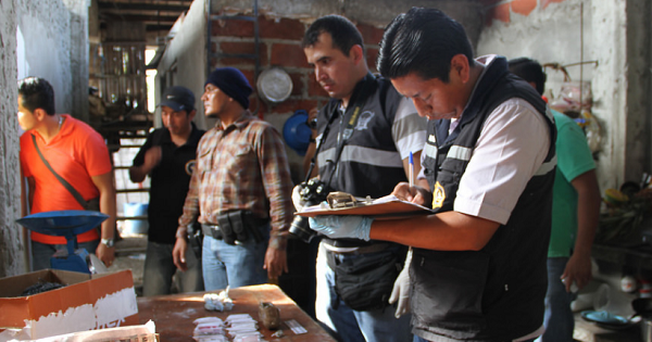 Ecuadorean authorities have seized 120 tons of drugs since the beginning of 2016.