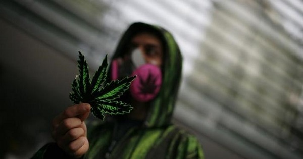 A protester displays a fake marijuana leaf during a march for the legalisation of marijuana in Mexico City May 5, 2012.
