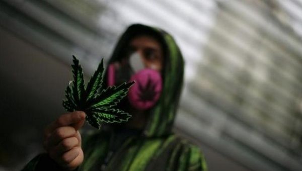 A protester displays a fake marijuana leaf during a march for the legalisation of marijuana in Mexico City May 5, 2012. 