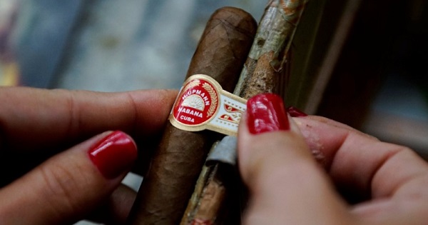 World's Best Tobacco and the Making of Cuba's Famous Habanos