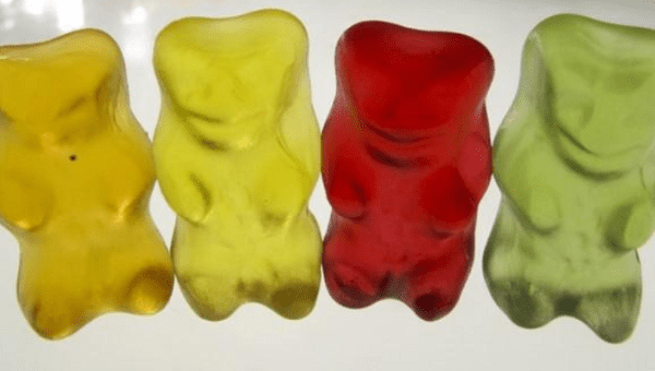 Gummy Bear em português Brazilian Chennal Official 