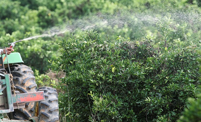 A worker sprays insecticide over orange trees on a farm in Limeira, Brazil, 2012.