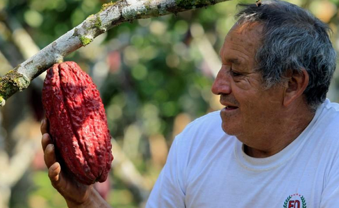 An Ecuadorean farmer holds a cacao fruit in Las Naves, some 350 km (217 mi) southwest of Quito, September 26, 2010.