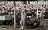 Brazilian workers carry salted meat at the world