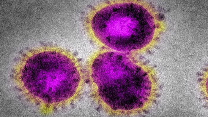 Death Toll from Coronavirus Rises to 26 in Iran