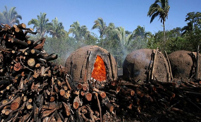 According the data, the Brazilian Amazon deforestation hit a record in January. Feb. 2, 2022.