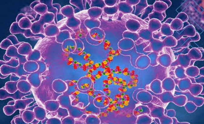 Representation of the monkepox virus.