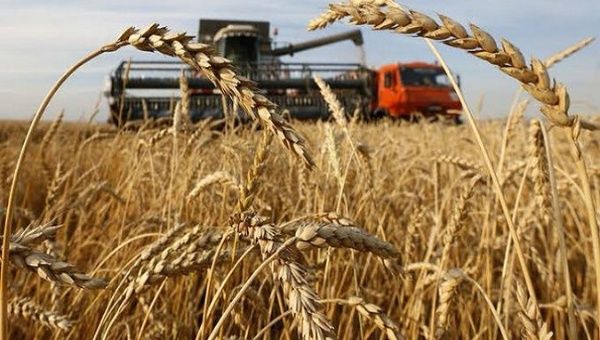 Over a quarter of the world's wheat is exported by Russia and Ukraine combined. Jun. 1, 2022. 