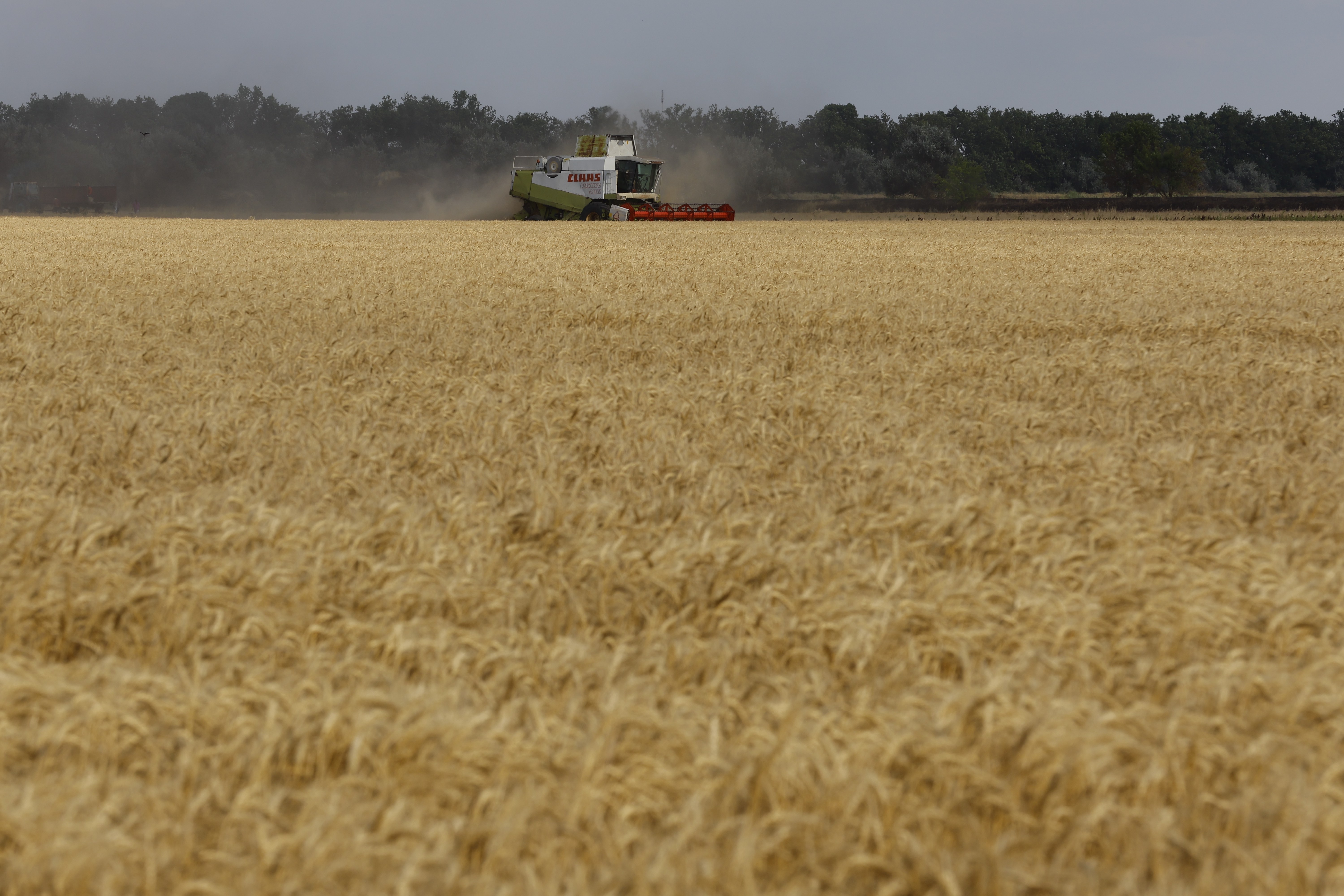 A harvester operates in a field in Kherson region on July 26, 2022.