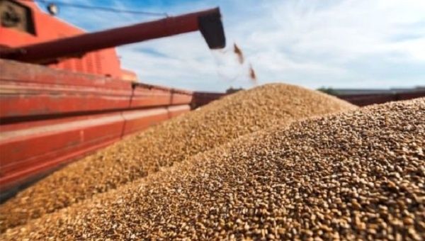 Somalia, Djibouti and Sudan will be the first to receive grain supplies. Nov. 4, 2022. 