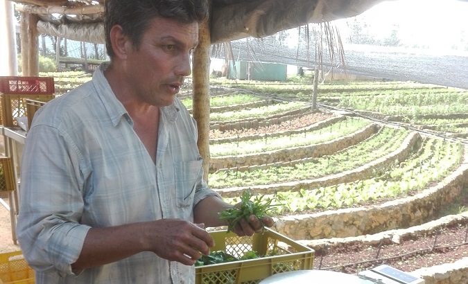 An organic farming farm in Caimito, Cuba, Nov. 12, 2021.