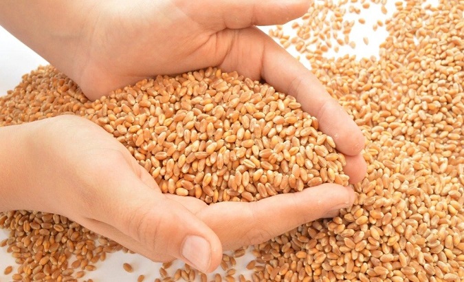 Russian wheat will be the first item to be traded at the inauguration of Egypt's Commodity Exchange, local media report. Nov. 27, 2022.