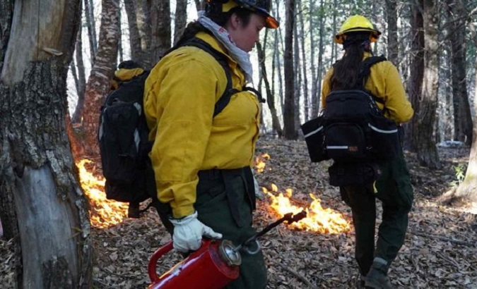 Workers perform wildfire prevention tasks, 2022.
