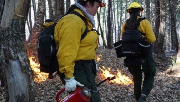 Workers perform wildfire prevention tasks, 2022.