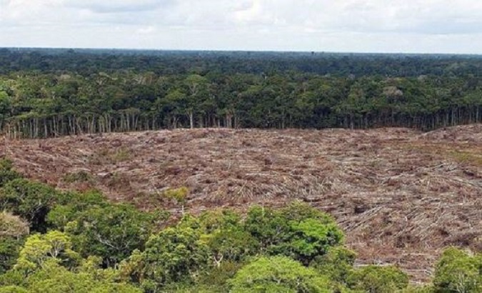 The highest rate of deforestation (27 700km2) in the Brazilian Amazon was recorded in 2014, according to the Legal Amazon Deforestation Satellite Monitoring Project. Nov. 30, 2022.