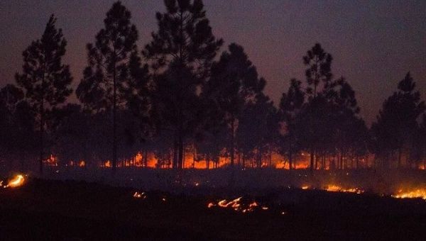 Wildfire in Holguin, Cuba, Feb. 19, 2023.