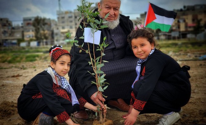 Palestinians plant olive trees to commemorate the 47th anniversary of Land Day in Gaza.