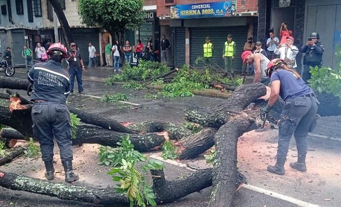 Fallen tree due to rain, Baralt avenue, Caracas, Venezuela, May 24, 2023.