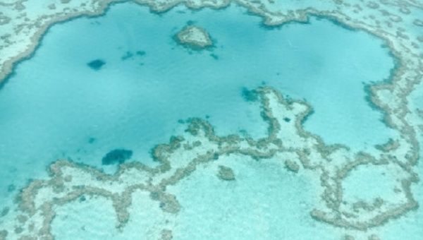 Australia’s Great Barrier Reef. Jul. 10, 2023.