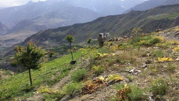 Afghanistan remains heavily contaminated by landmines and explosive remnants of war. Jul. 18, 2023. 