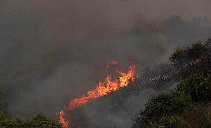 Forest Fires in Algeria. Jul. 25, 2023.