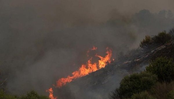 Forest Fires in Algeria. Jul. 25, 2023.