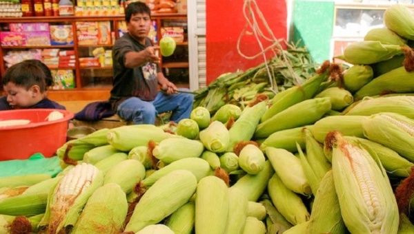 Sale of corn in a Mexican market.