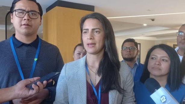 The diputy Claudia Ortiz denounced today more irregularities on the eletoral count of votes.