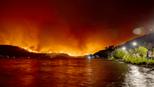 A wildfire in Canada, 2024.
