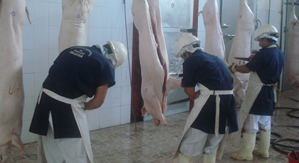 Workers in the meat sector, May 2024