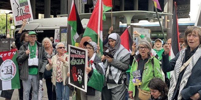 Demostrators Pro-Palestine, May 2024