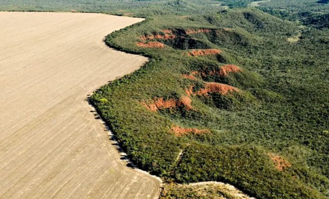 Deforestation caused by the advance of the agricultural frontier in Brazil, 2024.