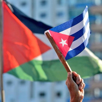 Cuban and Palestinan Flags, May 2024