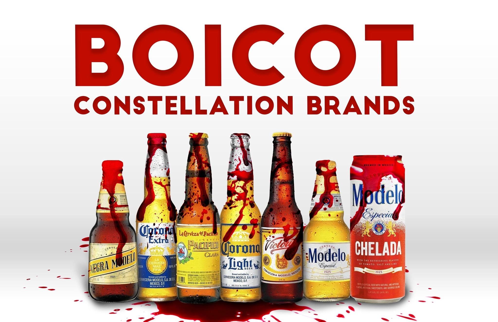 Boycott Modelo Beer!' Mexicali Resiste Fights for Water Rights | Analysis |  teleSUR English